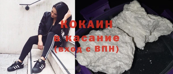 шишки Балахна