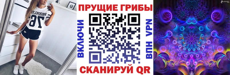 Галлюциногенные грибы прущие грибы  Холм 