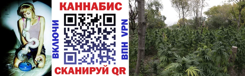 Бошки Шишки марихуана Холм